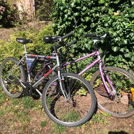 Les Hortensias Apartment Riquewihr