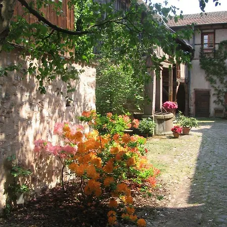 Les Hortensias * Riquewihr