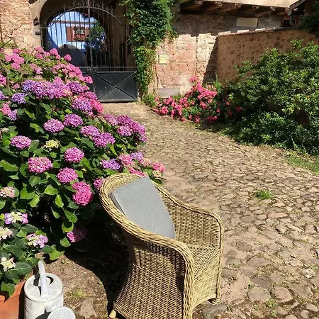 Les Hortensias Lägenhet Riquewihr