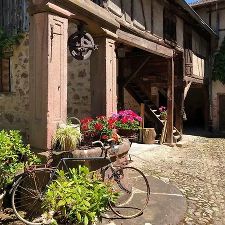 Les Hortensias Riquewihr