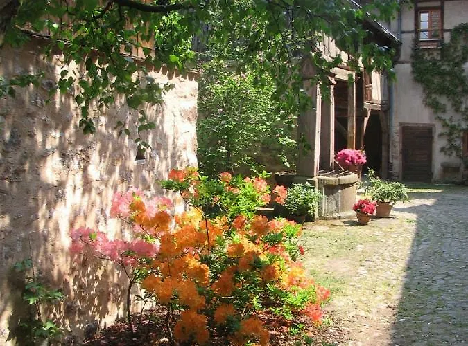 Les Hortensias * Riquewihr