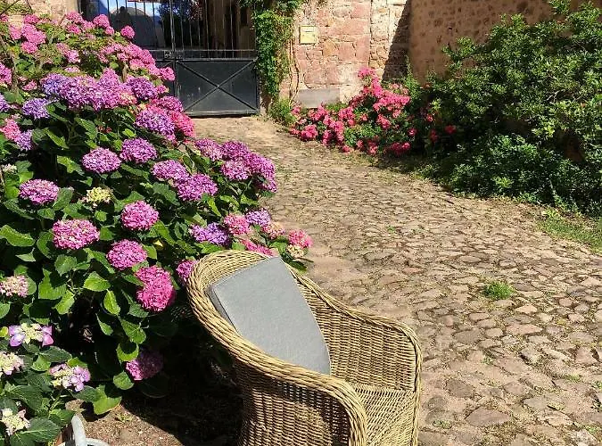 Les Hortensias Appartement Riquewihr