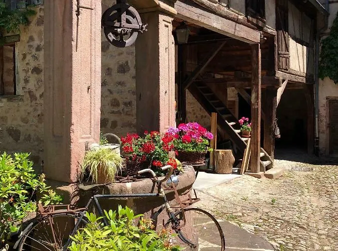 Les Hortensias Riquewihr