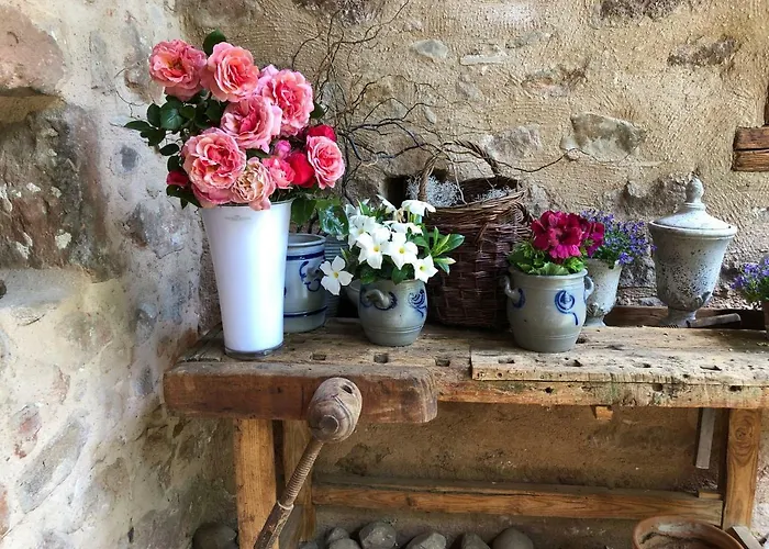 Appartement Les Hortensias *